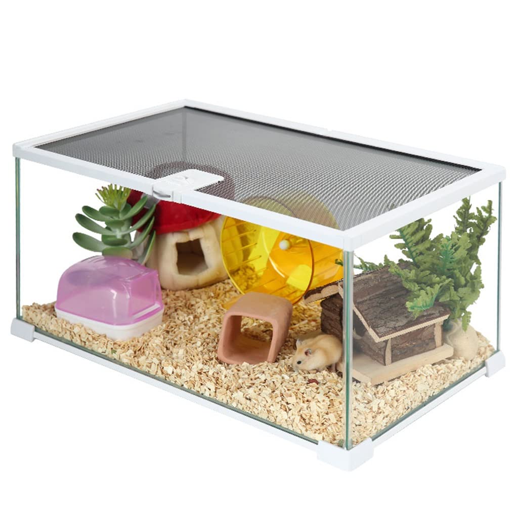 Tanque de Vidrio Templado para Reptiles, Apertura Superior, Terrario para Reptiles, Lagarto, Camaleón, Gecko, Incubadora de Mascotas con ventilación de Pantalla Superior (A 31x21x20cm)