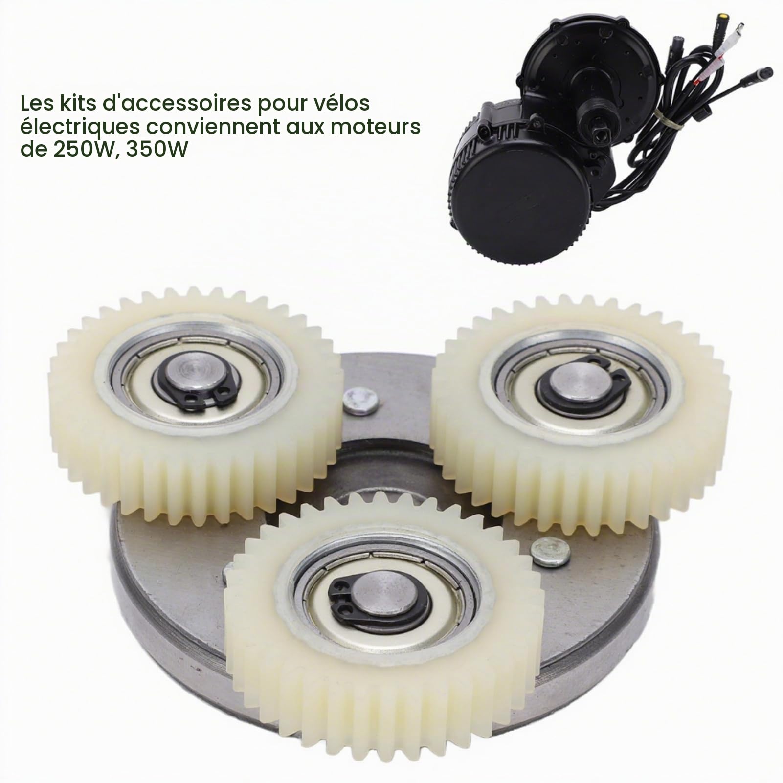 Bnineteenteam Kit d'embrayage de Vitesse, Kit d'embrayage de Vitesse de Vélo électrique en Acier + Nylon 36T Adapté au Moteur D'entraînement Moyen 250W 350W