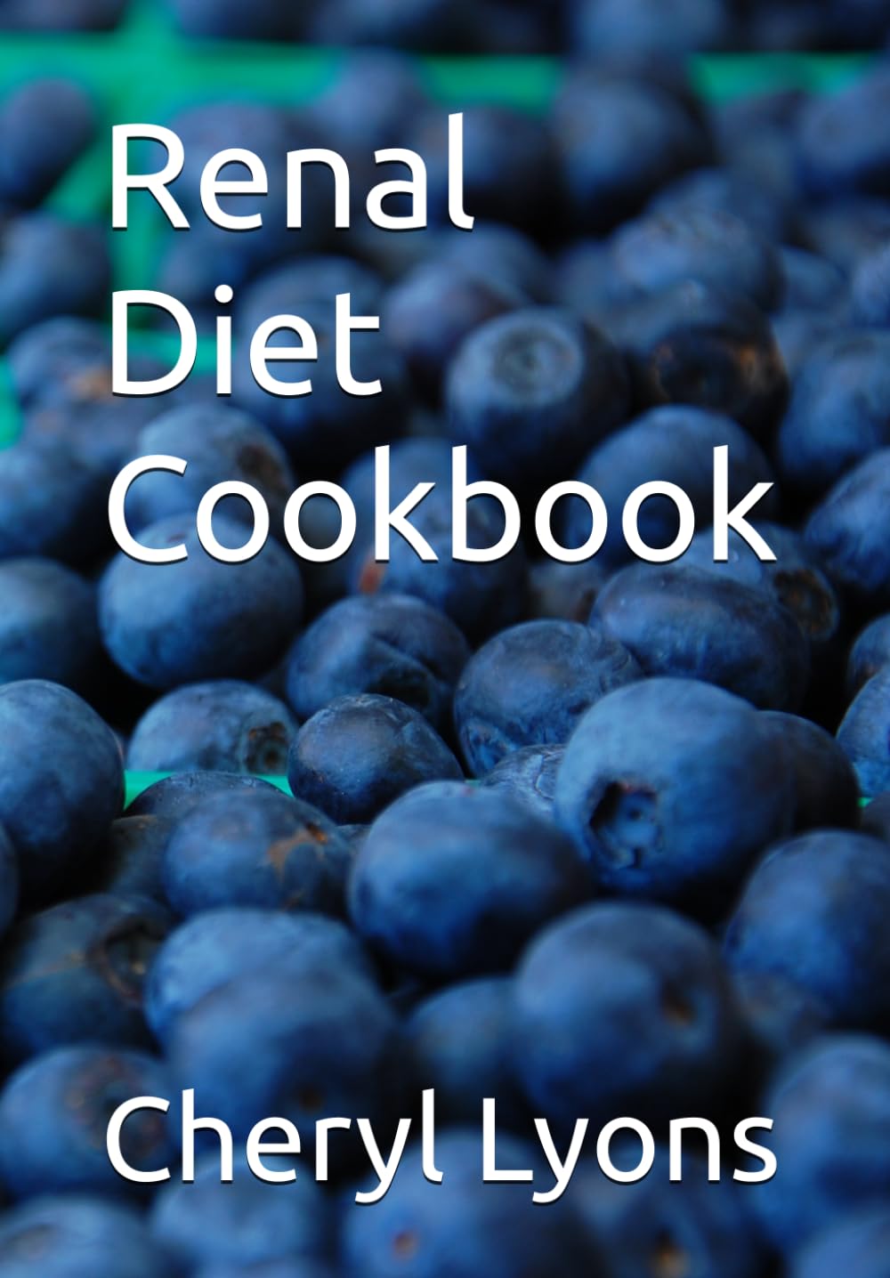 Renal Diet Cookbook