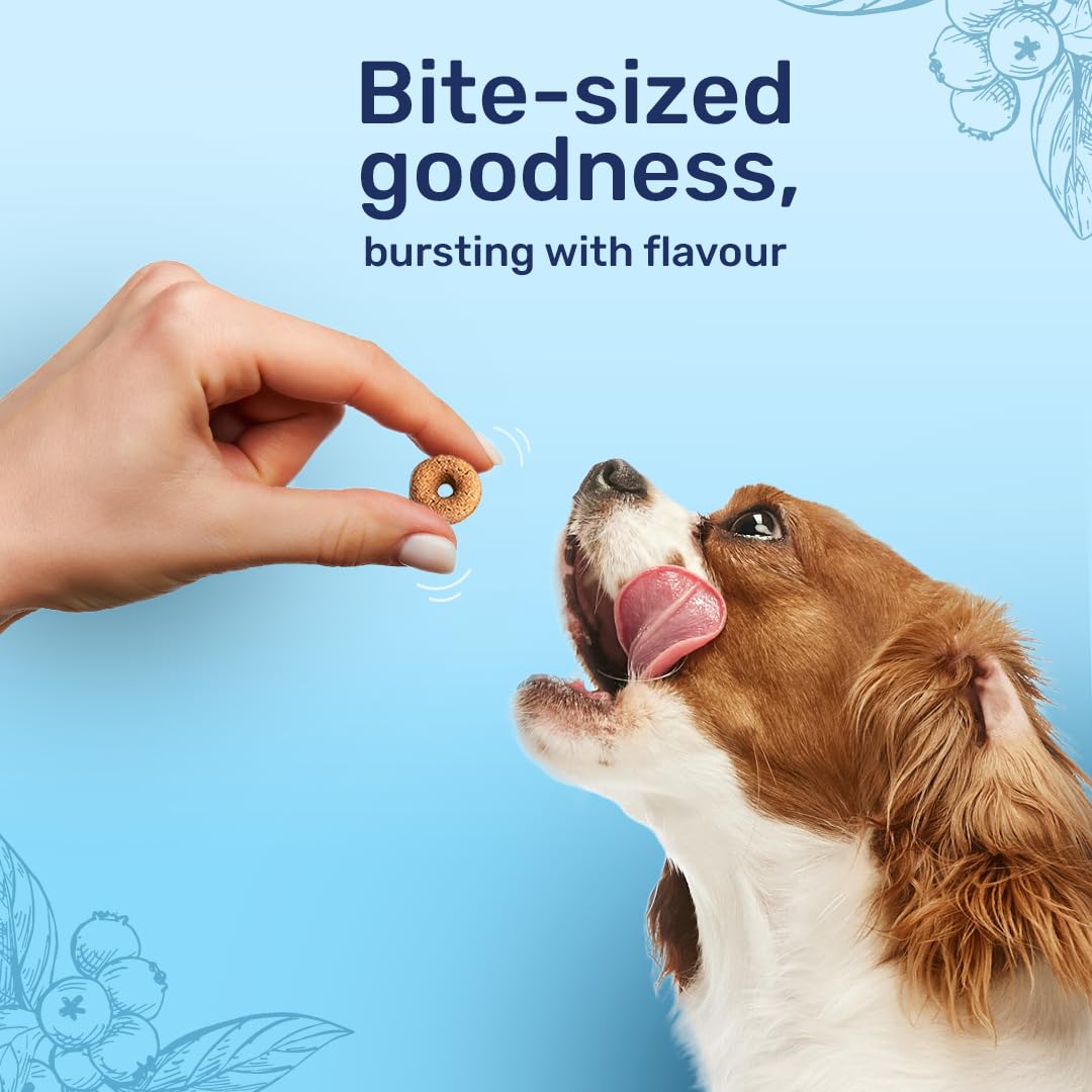 Heads Up For Tails Berry Bites Dog Treats | Real Chicken & Blueberries | Healthy, Tasty Cookies for All Life Stages | Natural, Gluten-Free, High-Protein Snacks for Dogs - 140 gm