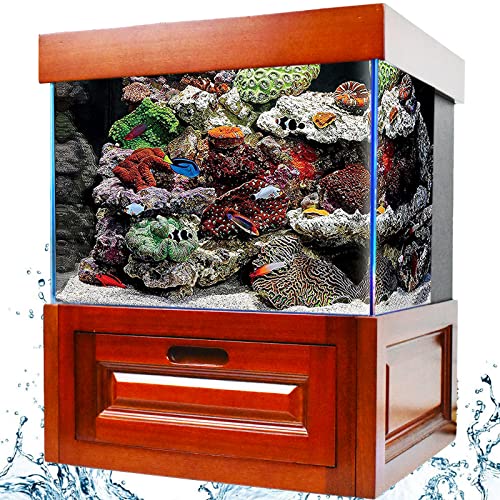 ¿Quieres Comprar Madera para Acuarios Online? Aquí Tienes los Top