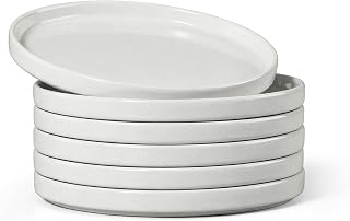 E-far 7.9 Inch Ceramic Dinner Plates, 6-Piece Stoneware Salad Plates wit...