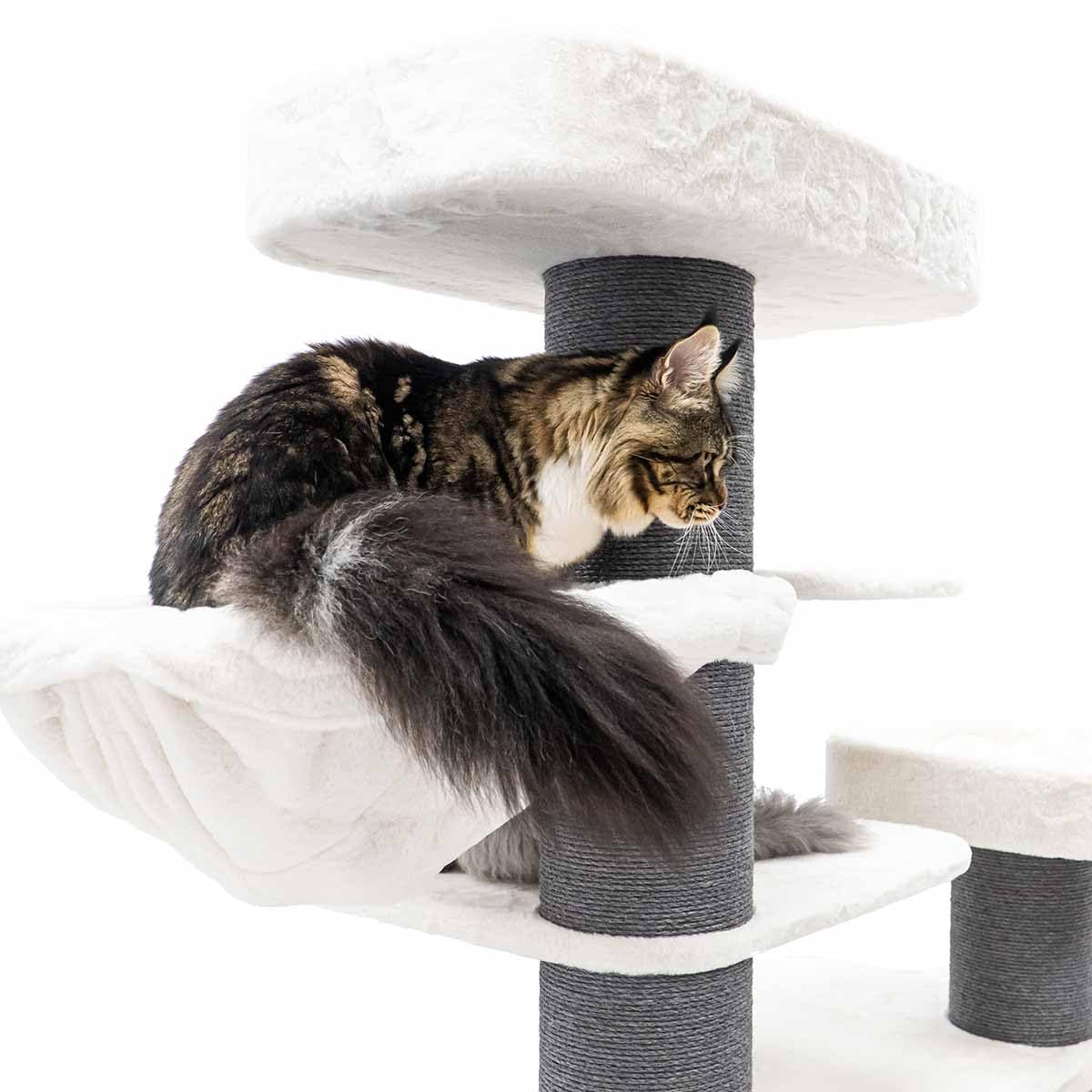 Petrebels Drapak XXL Bengal 199 cm wysokości, wzór Maine Coon drapak dla dużych kotów, kolor biały