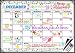 Flat Harmony Magnetic Whiteboard Calendar - 17x12 Monthly Dry Erase Board Planner for Refrigerators and Classrooms (3 Markers with Erasers Included)