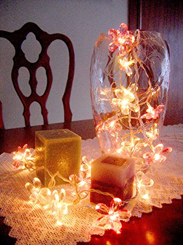 Reila 64157102 20-Ghirlanda di luci, motivo fiori