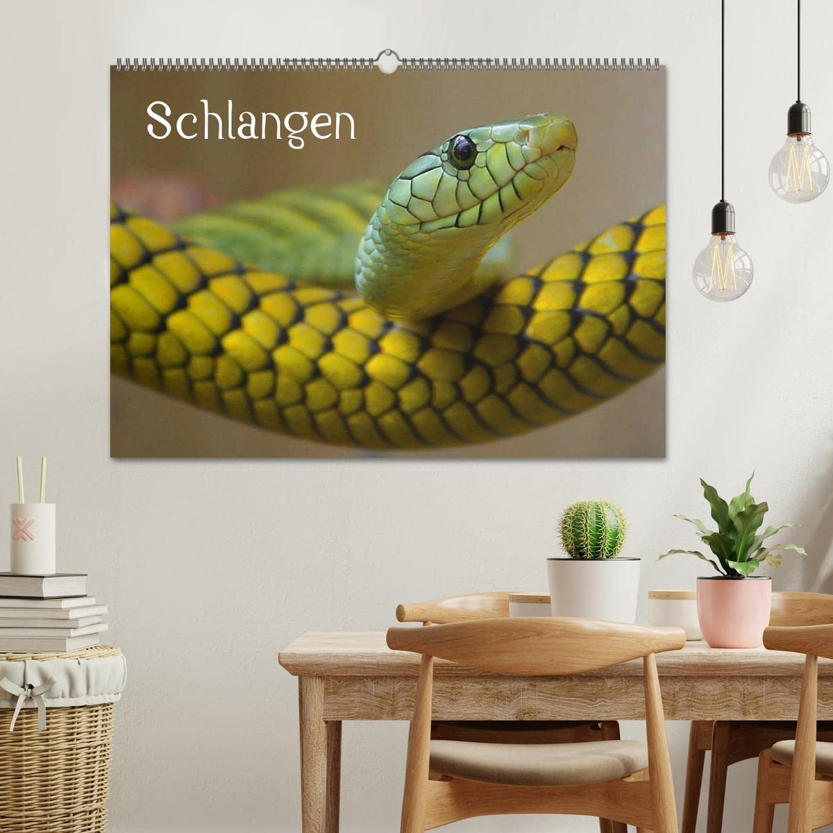 CALVENDO - Schlangen (Wandkalender 2027 DIN A2 quer), Monatskalender: Giftige und e Schlangen in beeindruckenden Farben