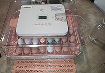 Review Image by FearNoT FearNoT