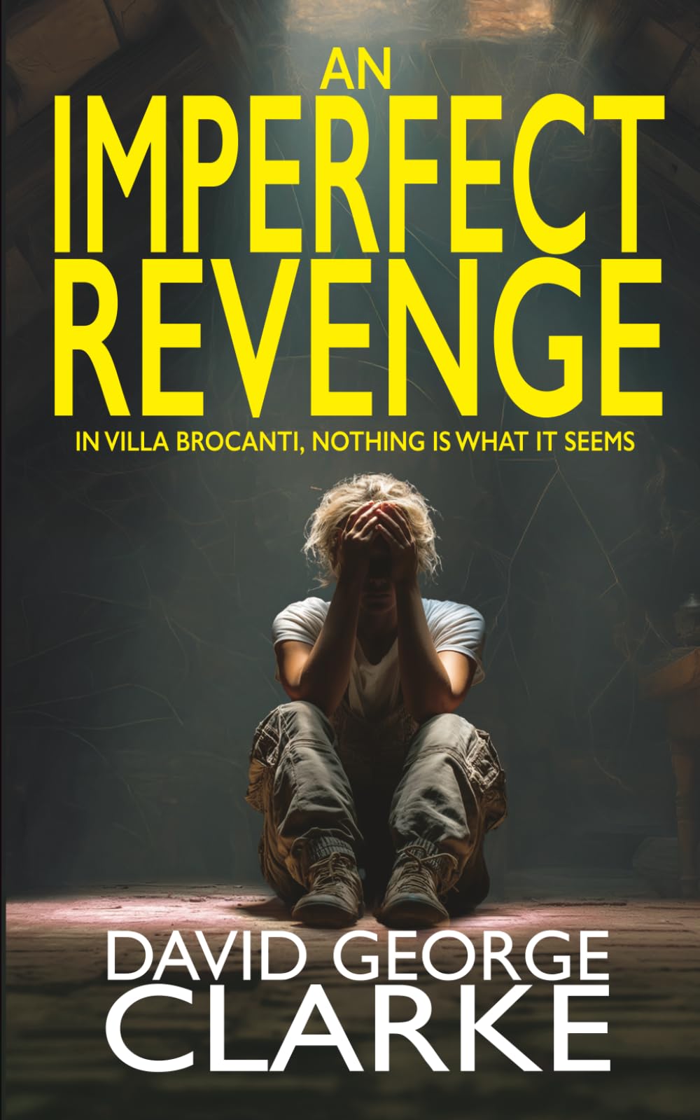 An Imperfect Revenge: A Psychological Thriller