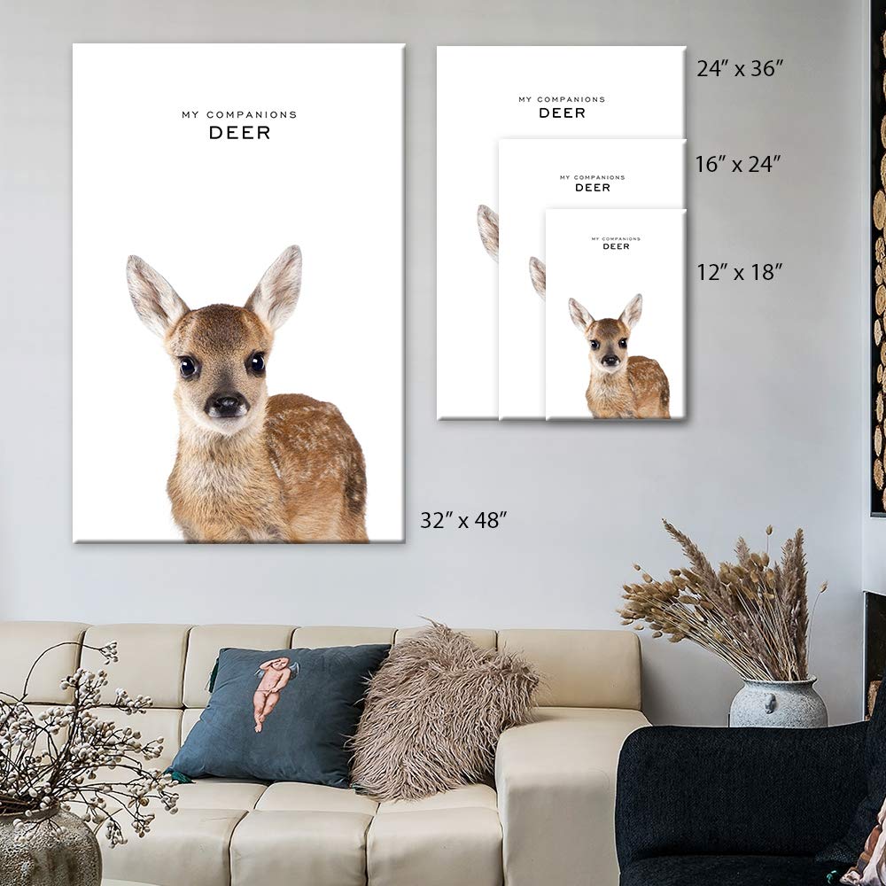 Amazon.com: SIGNFORD Canvas Wall Art Isolated Kangaroo Canvas