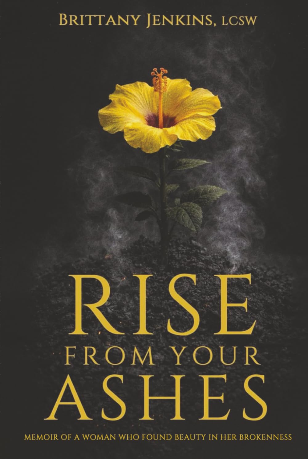 Rise From Your Ashes: Memoir Of A Woman Who Found Beauty In Her Brokenness