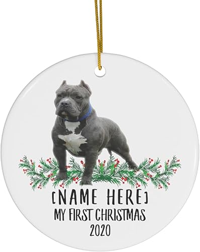 Nombre personalizado con nombre personalizado, año American Bully azul, gris, decoraciones de Año Nuevo 2024, regalos para el primer 2023, adornos