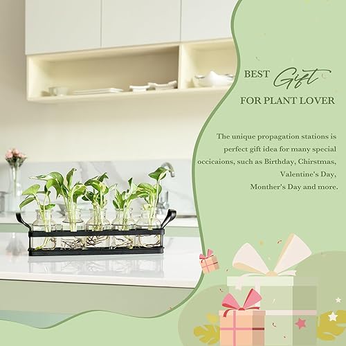 Miniatura 10 de Mkono Estaciones de propagación con soporte de metal, plantas de escritorio, terrario de vidrio, jarrón para plantas hidropónicas, corte de flores,