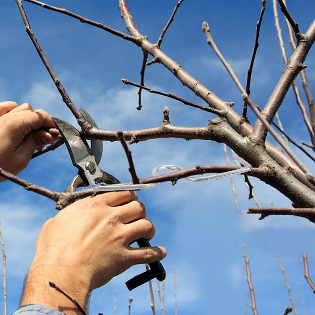 20 Pezzi Supporto per Estrattore di Rami di Frutta, Estrattori per Rami