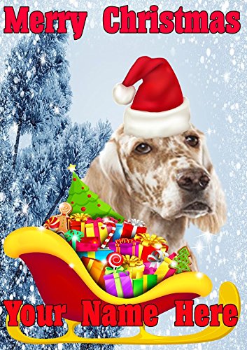 Derbyshire, biglietto di auguri per il 2016, con