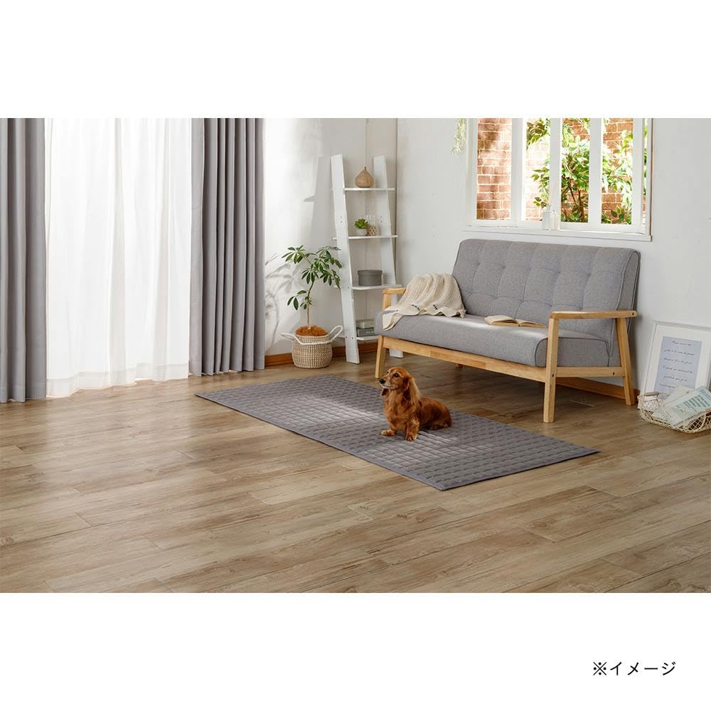 Amazon | カインズ(CAINZ) 【2024春夏】＆Pet UDCラグ Pitapa