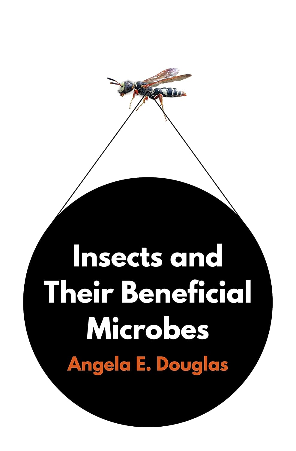 Insects and Their Beneficial Microbes