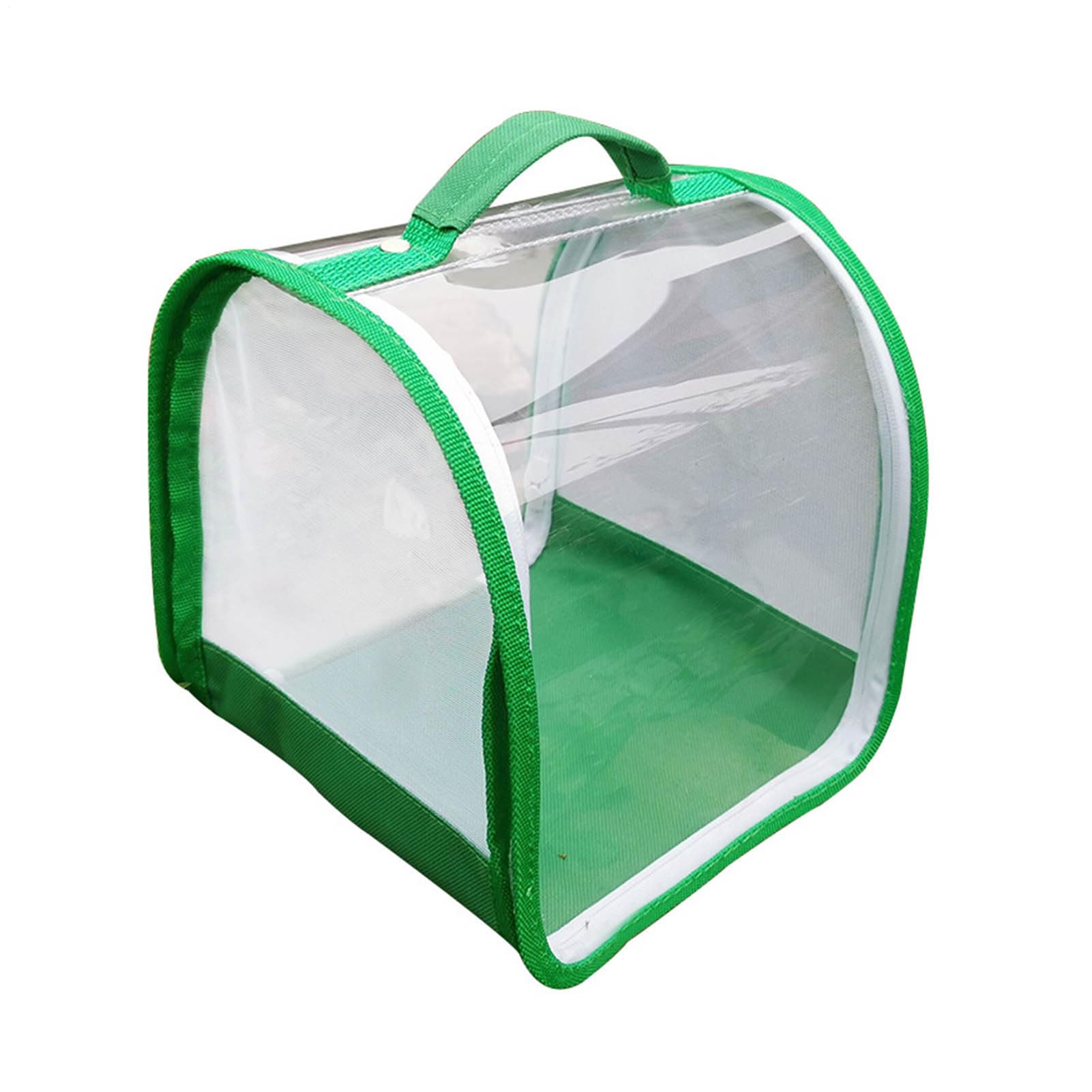 Set di allevamento di farfalle per bambini/adulti | Farfalla domestica | Insetto e Farfalla Habitat Gabbia di protezione per terrario | Allevamento cingolato dai 3 anni in su, verde