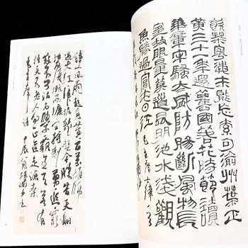 【中国書道】「陸儼少 - 海派代表書法家系列作品集」上海書画出版社 Amazon.co.jp: 中国書道「陸儼少 - 海派代表書法家系列作品集