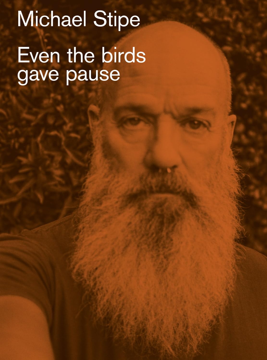 Michael Stipe Even the birds gave pause by Michael Stipe HARDBACK 9788862088145