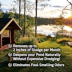 Pond Sludge Remover – 5 Pounds Beneficial Pond Bacteria & Enzyme Treatment - 100% Natural Muck Digester – Safe for All Aquatic Life and Recreation - Made in The USA Pond Sludge Remover–5 Pounds Beneficial Pond Bacteria Enzyme Treatment 100 Natural Muck Digester–Safe for All Aquatic Life and Recreation Made in The USA
