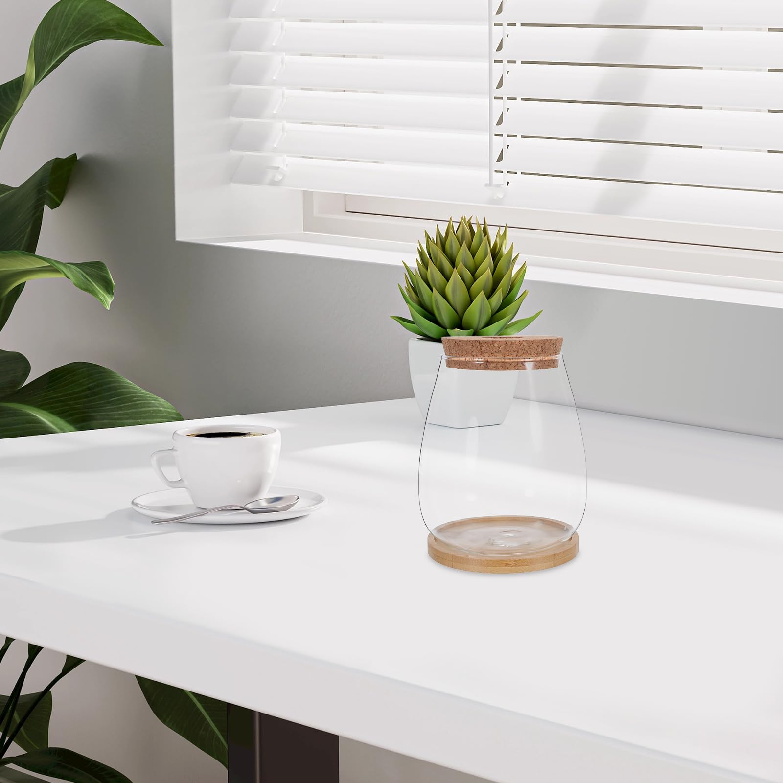 Toyvian Lot de 2 Sets de Vases de Propagation en Verre Hydroponique Grand Format avec Bouchon en Liège et Support en Bambou, Stations de Culture Solide pour Plantes D’intérieur Bureau