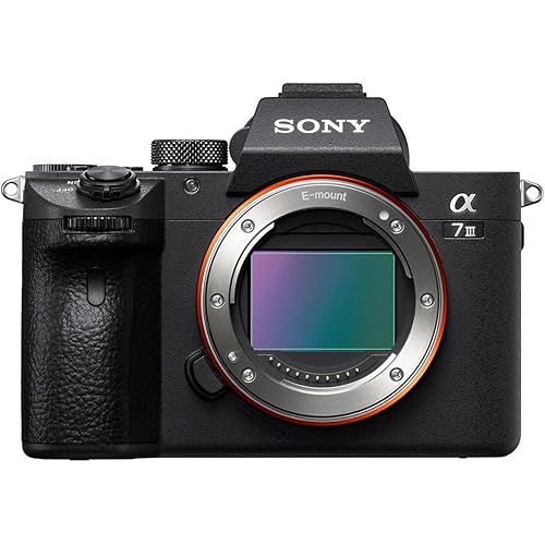 Sony Alpha a7 III 24.2MP Full Frame Mirrorless Digital Interchangeable-Lens Camera - Bundle with Sony FE 24-105mm f/4 G OSS Standard Zoom E-Mount Lens