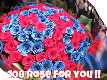 Amazon｜プロポーズ 彼女 100本 花束 赤バラ 青バラ 花束