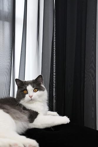 Vista 50 de Cortinas traslúcidas blancas para ventana de 95 pulgadas de largo, juego de 2 paneles de cortinas traslúcidas blancas para ventana con bolsillo