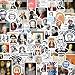 Yqskt 200PCS Funny History Stickers, Historical Figure Quote Stickers for History Buffs Teens Adults Teachers Waterproof Vinyl Decals Bulk for Laptop Water Bottle Phone Luggage