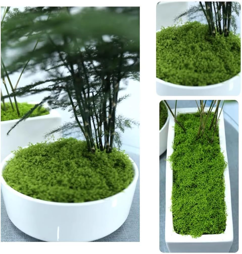 Alfombra De Cojín De Musgo Artificial para Terrarios, Jardines, Decoración del Hogar, Almohadilla De Musgo Realista para Manualidades, Green, 1 Size