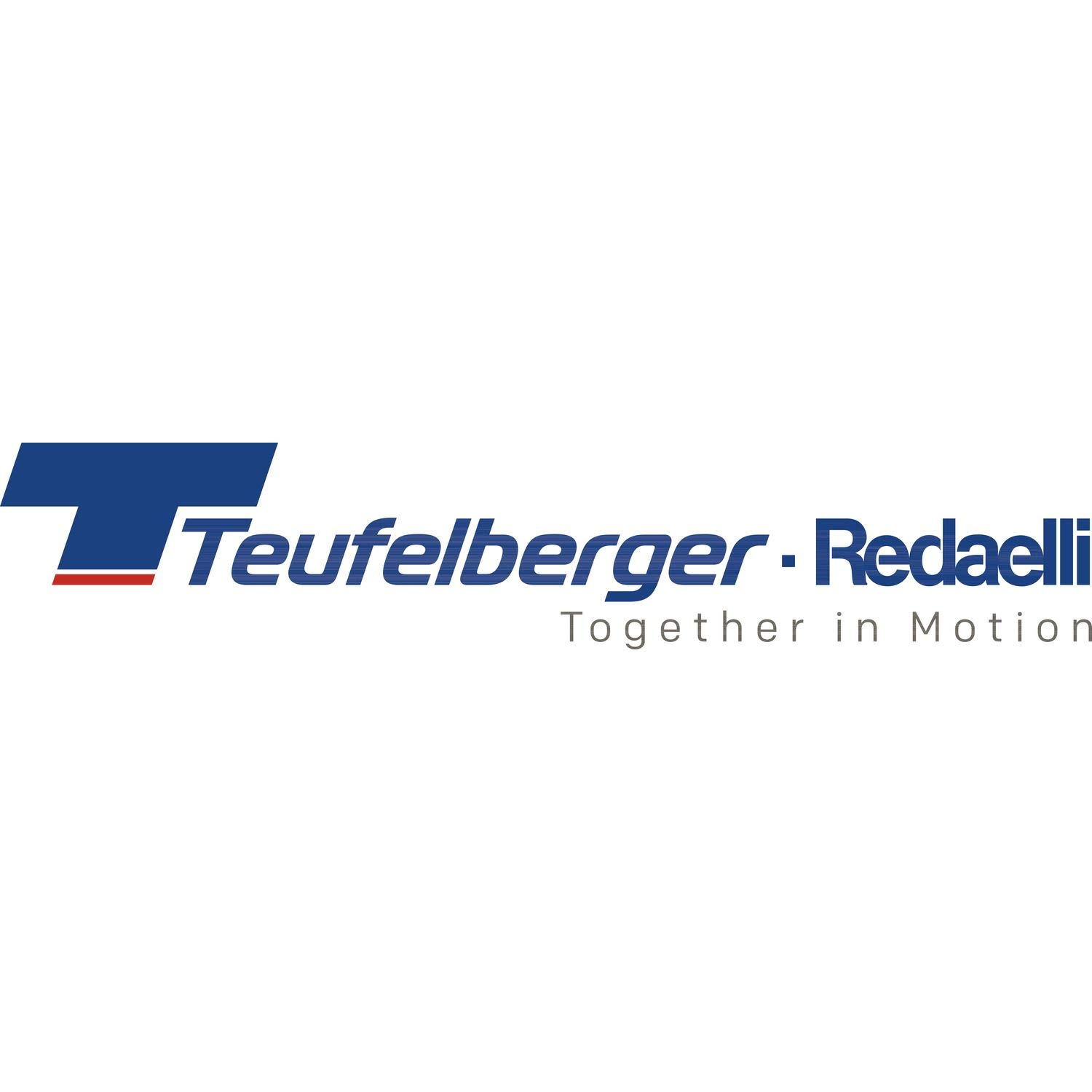 TEUFELBERGER Absturzsicherungsset Grip 12 mit Bandfalldämpfer im Rucksack