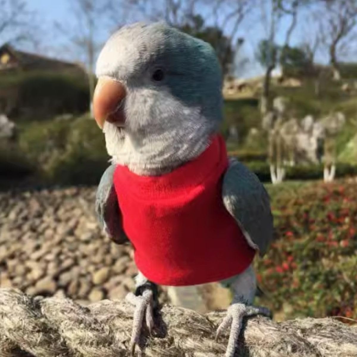 Bird Costume Handmade Cotton Red Shirt Round Collar Sweater Flight Suit for Parrots African Greys Parakeet Cockatiel Sun Conure Christmas Halloween Cosplay Apparel Bird Supplies (with Diaper,Macaw)