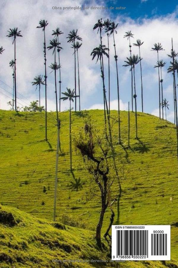Vista 2 de Cuando Boyacá declaro la guerra à Bélgica El surrealismo belgo se exporta (Spanish Edition)