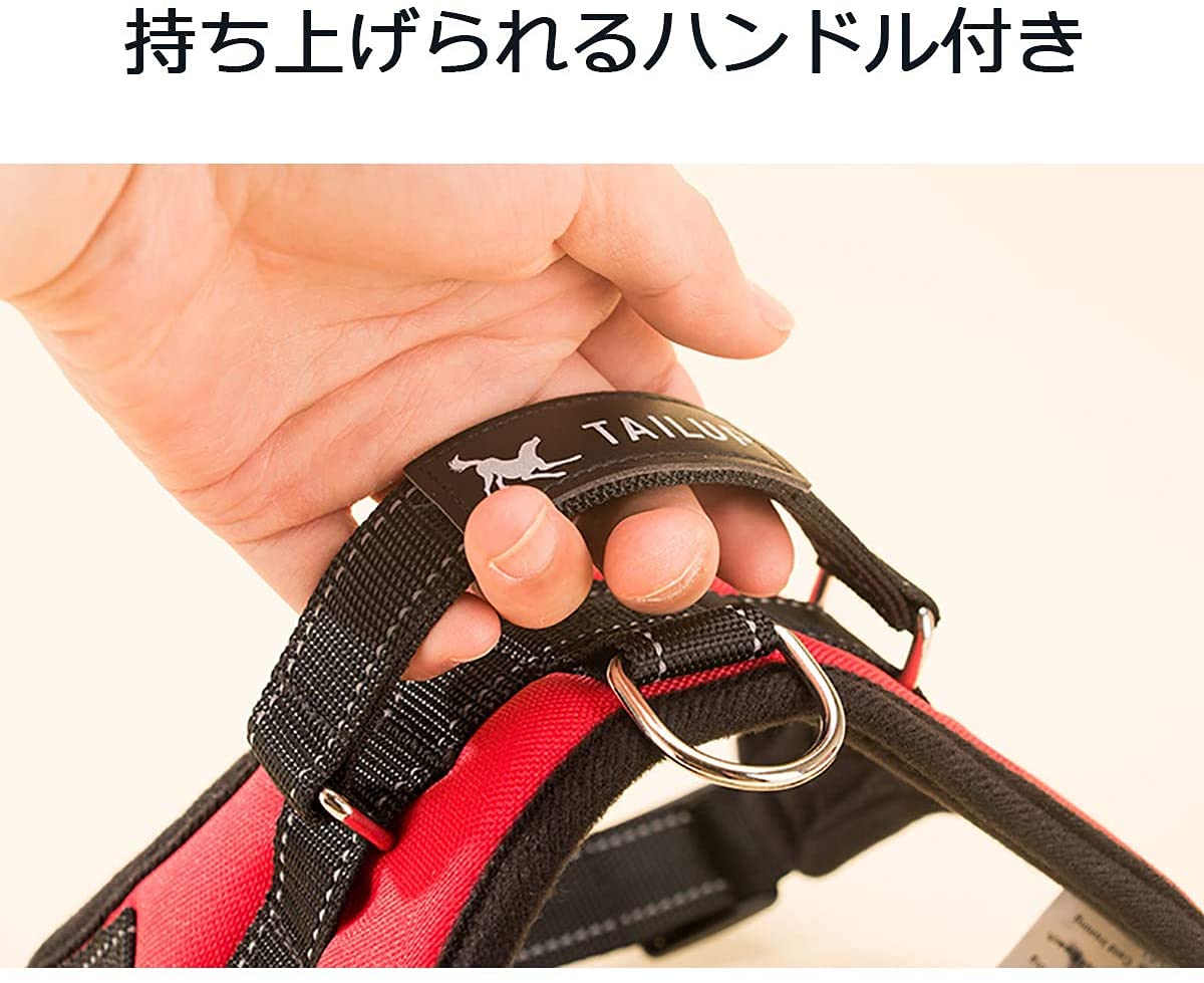 Amazon | 犬用ハーネス＆リーダーセット 犬胴輪 可愛い メッシュ