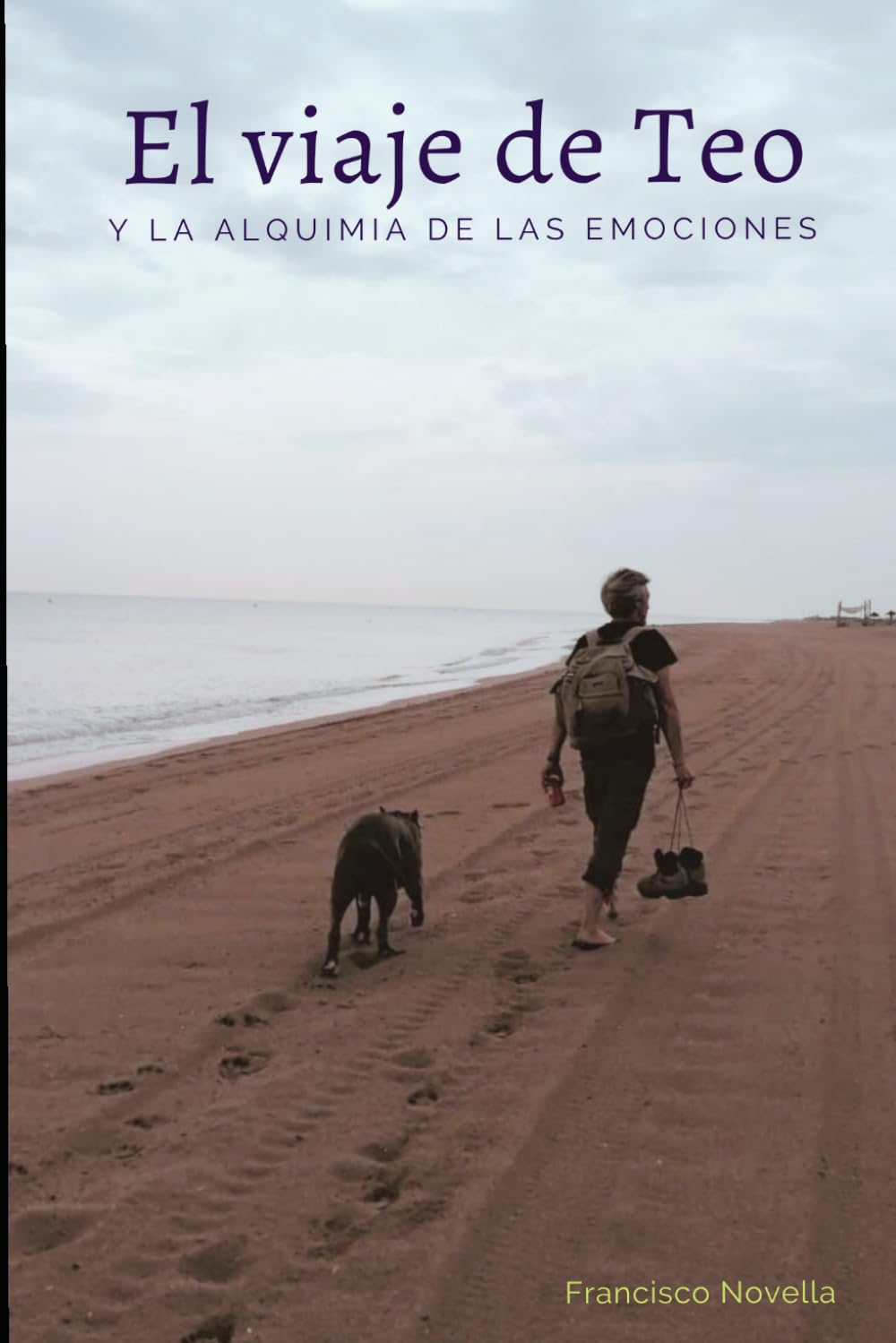 El Viaje de Teo y la Alquimia de las Emociones