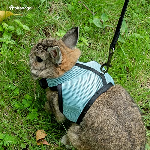 Image of Niteangel Adjustable Soft Harness with Elastic Leash for Rabbits (L, Black)