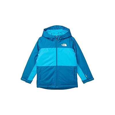 The North Face Kids Freedom Insulated Jacket (Little Kid/Big Kid) Boy