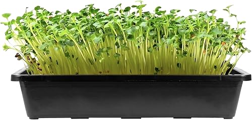 Miniatura 6 de Paquete de 14 bandejas de inicio de semillas de 15 x 12 pulgadas, bandejas de cultivo inferior de malla de plástico, bandejas de germinación de