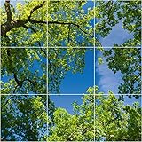 Motivdecken – Designdecken für Kassettendecken – Bedruckte Abhängedecken - Deckenbild für Rasterdecken z.B. OWA Mineralfaser Platten, Knauf AMF, Armstrong Decken Deckenpaneel – 62x62cm Platten