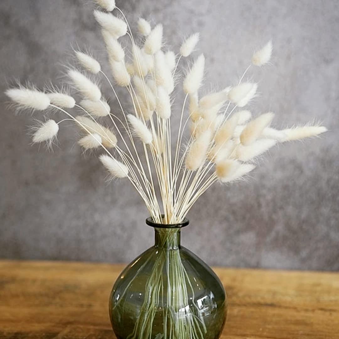 Royal sapphire Natural Dried Lagurus ovatus 30 Pcs, Dried Bunny Tails Pampas for Flower Arrangements Wedding Home Decor (White)-image-8