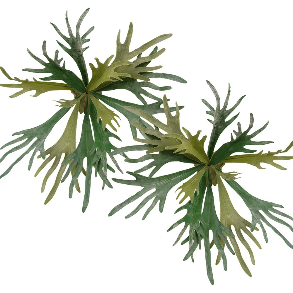 Melorca&Guilla 35-Inch Artificial Staghorn Fern