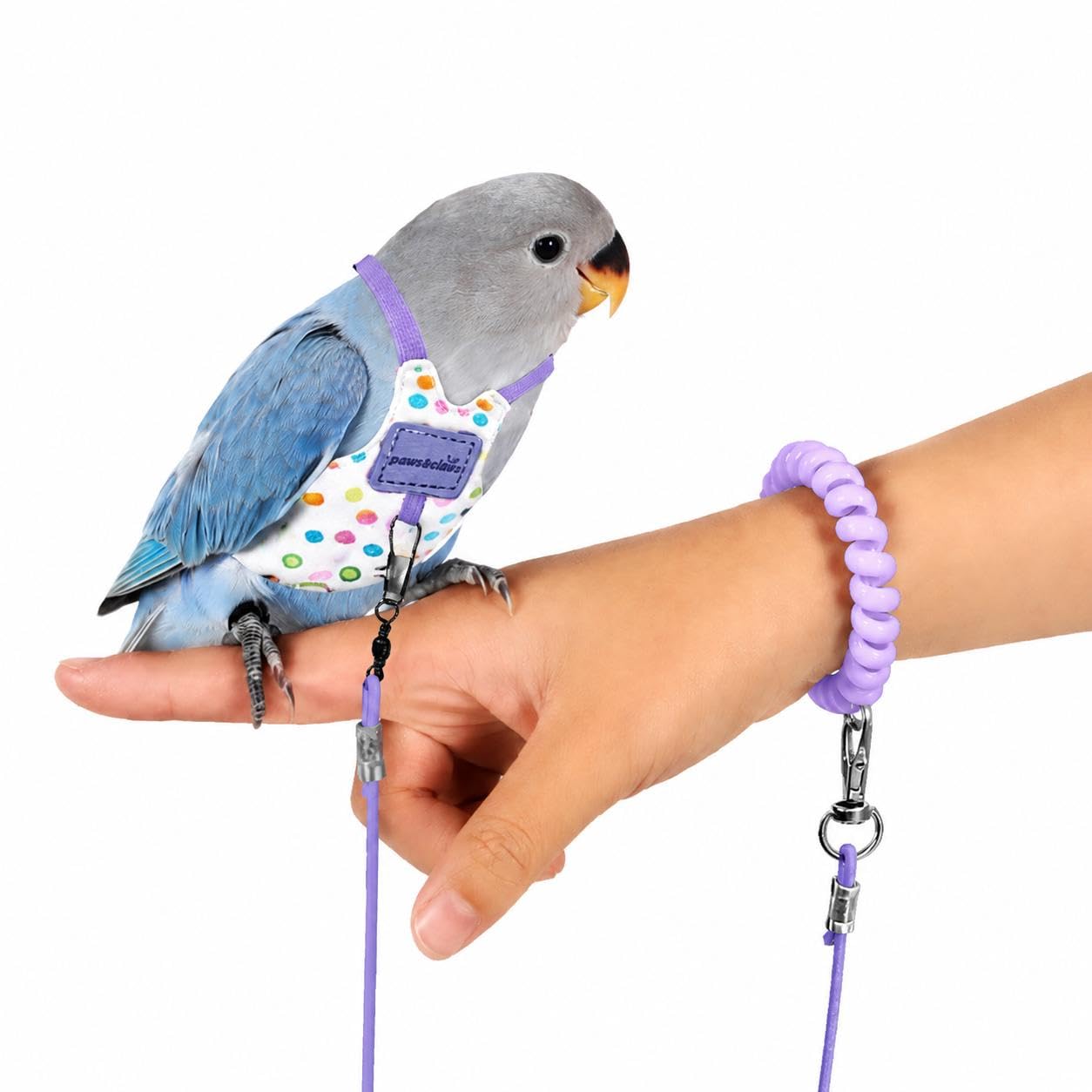 Beyinkoy Pet Parrot Bird Harness and Leash, 3m Lightweight Parrot Flying Vest with Coil Wrist Strap, Escape-Proof Bird Walking Harness for Outdoor Training, Travel and Daily Exercise (Purple, 5#)