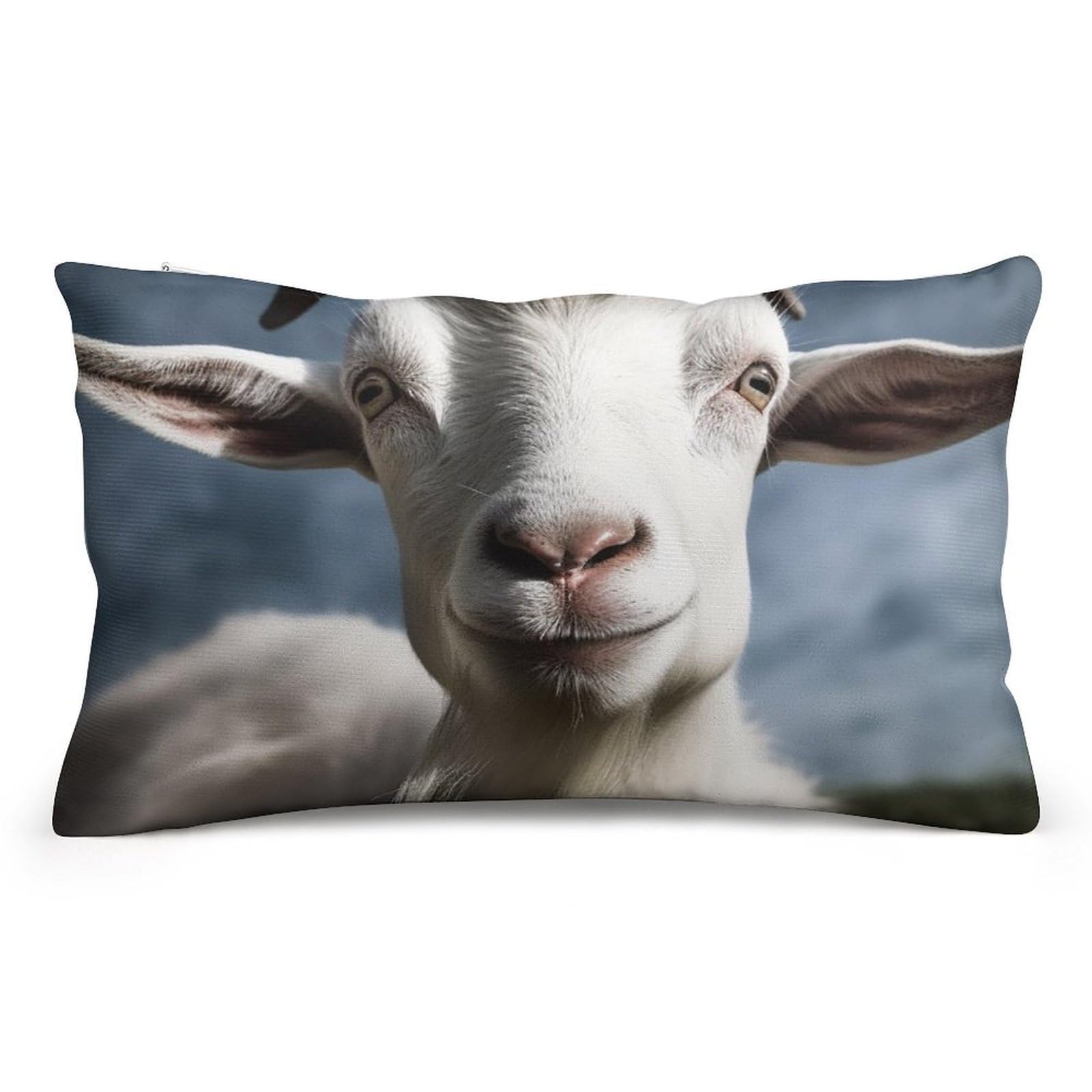 Velvet Pillowcases Standard Size 8"x12", Ultra Soft Breathable Pillow Cases for Bed, Luxury Cozy Fuzzy Pillow Shams, Lumbar Pillow Cover, Goat Cushion Case Home Decor