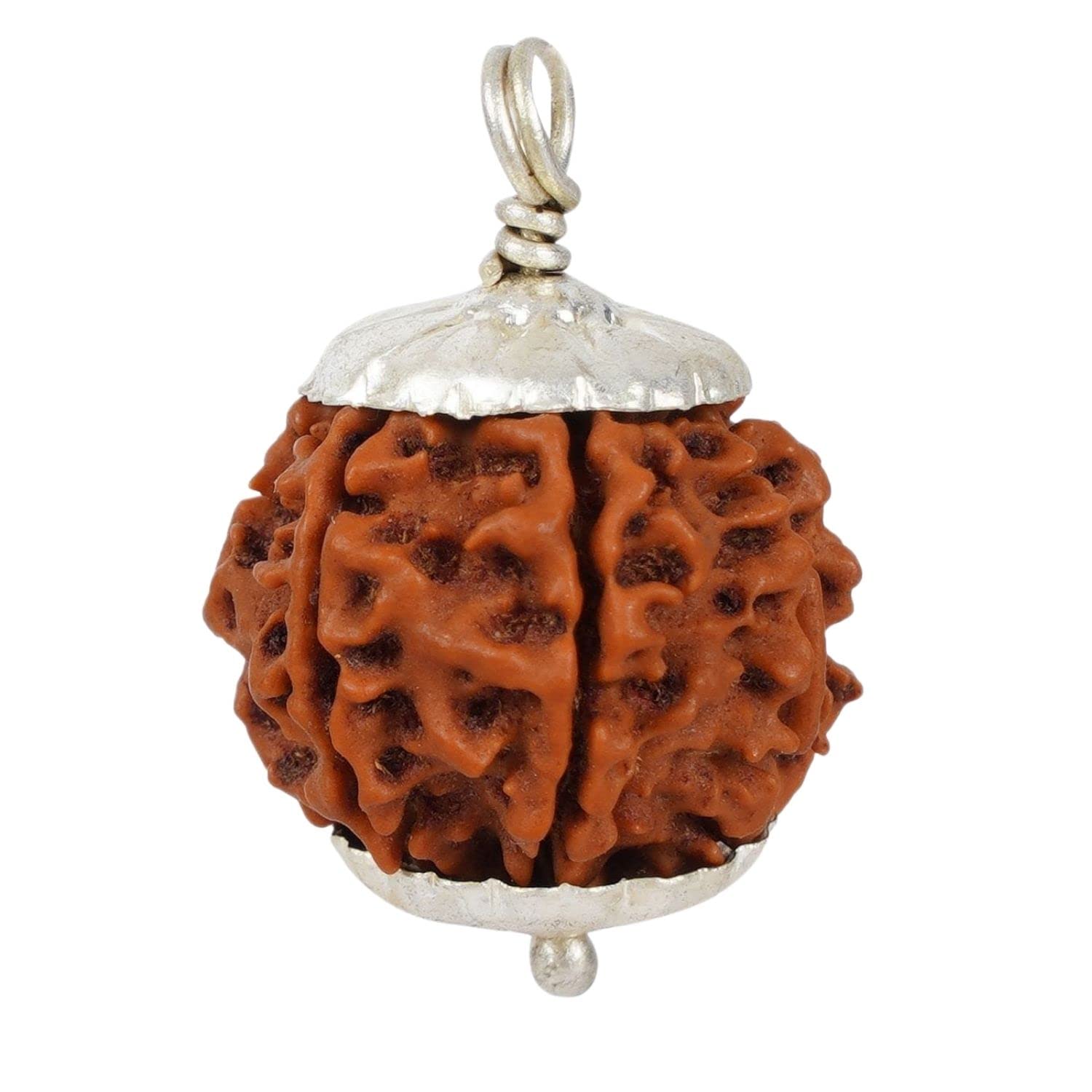 NAISHA 7 Mukhi Rudraksha Bead Necklace, Certified & Original Seven-Faced Rudraksha Seed for Pooja/Prayer/Meditation