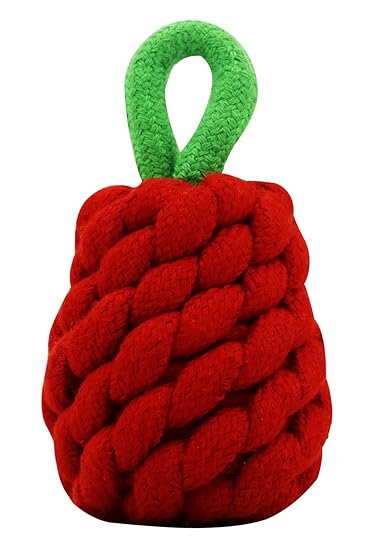 PAWPOURRI Attractive Fruit Shaped Rope Toy for Adult and Small Dogs, Puppies for Teething