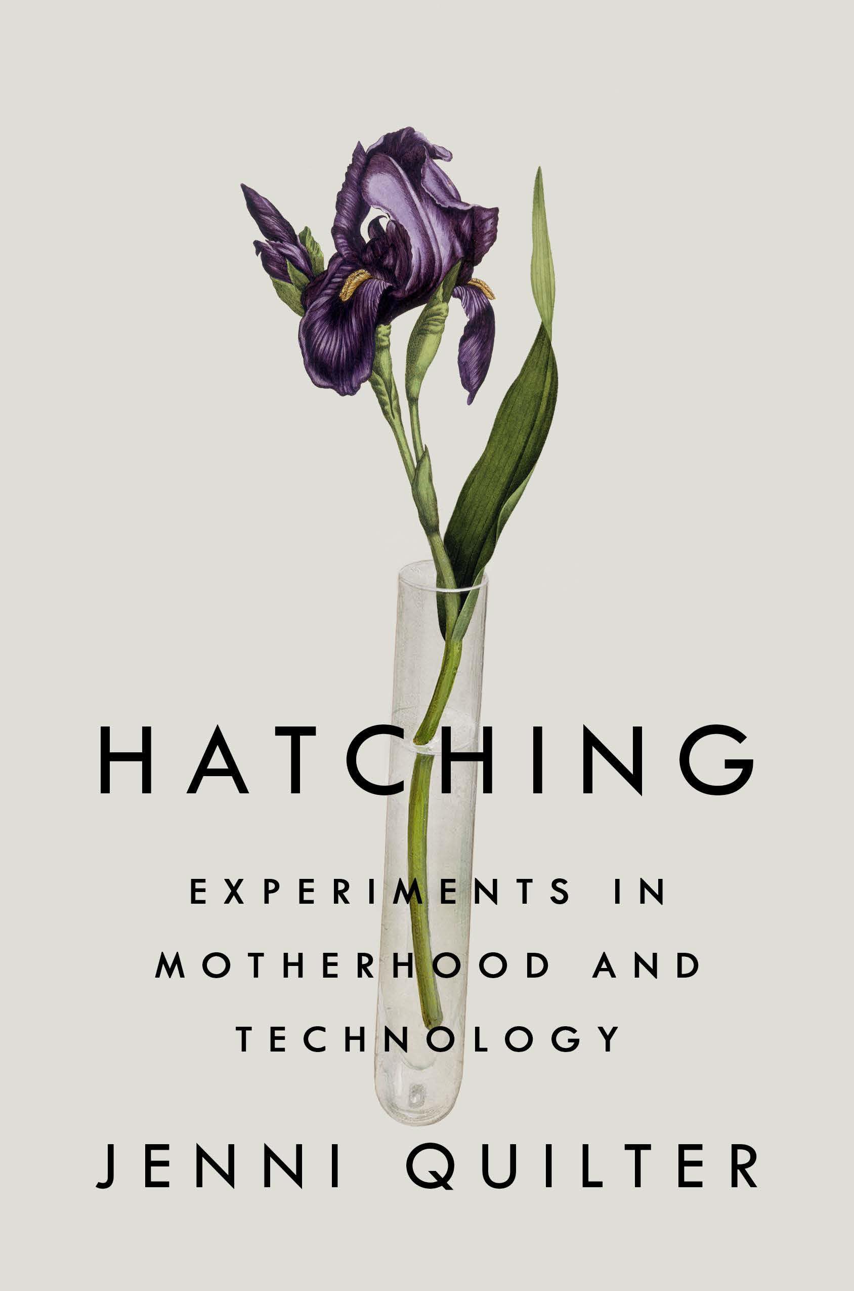 Hatching by Jenni Quilter HARDBACK 9780735213203