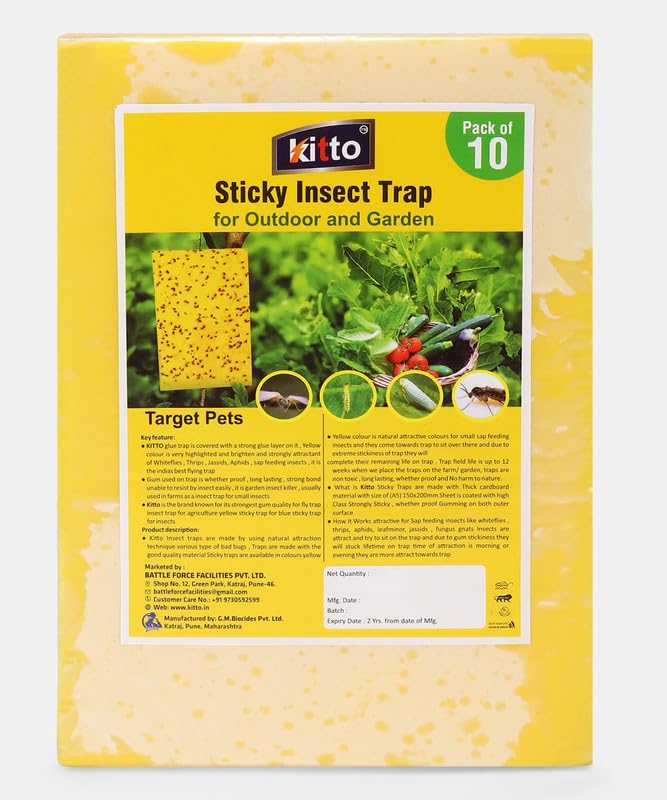 Kitto Yellow Non Toxic and Chemical Free Fly Insect Catcher (Pack of 10) (B0CHSFVJNY) Amazon Price History, Amazon Price Tracker