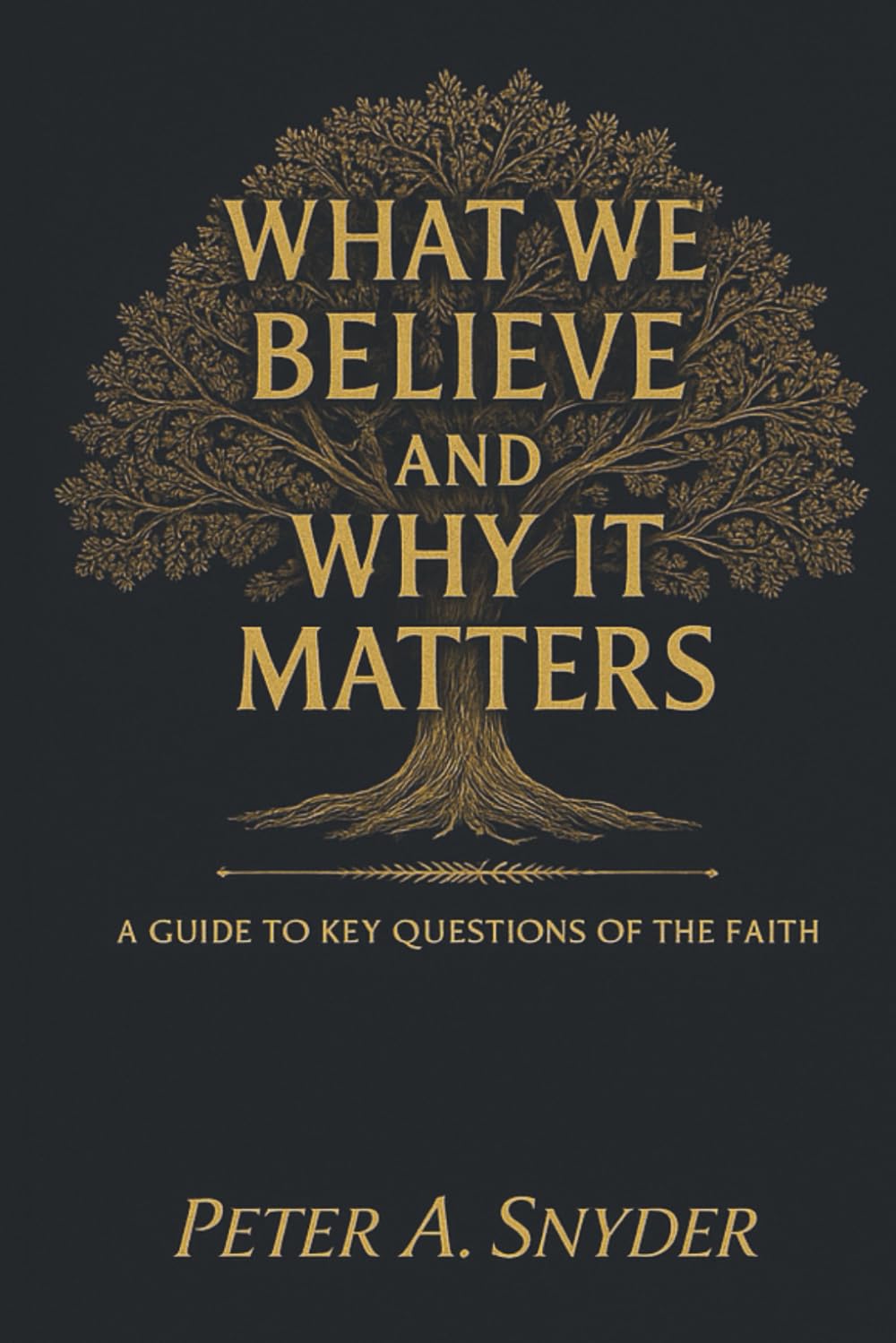 What We Believe and Why It Matters: A Guide to Key Questions of the Faith
