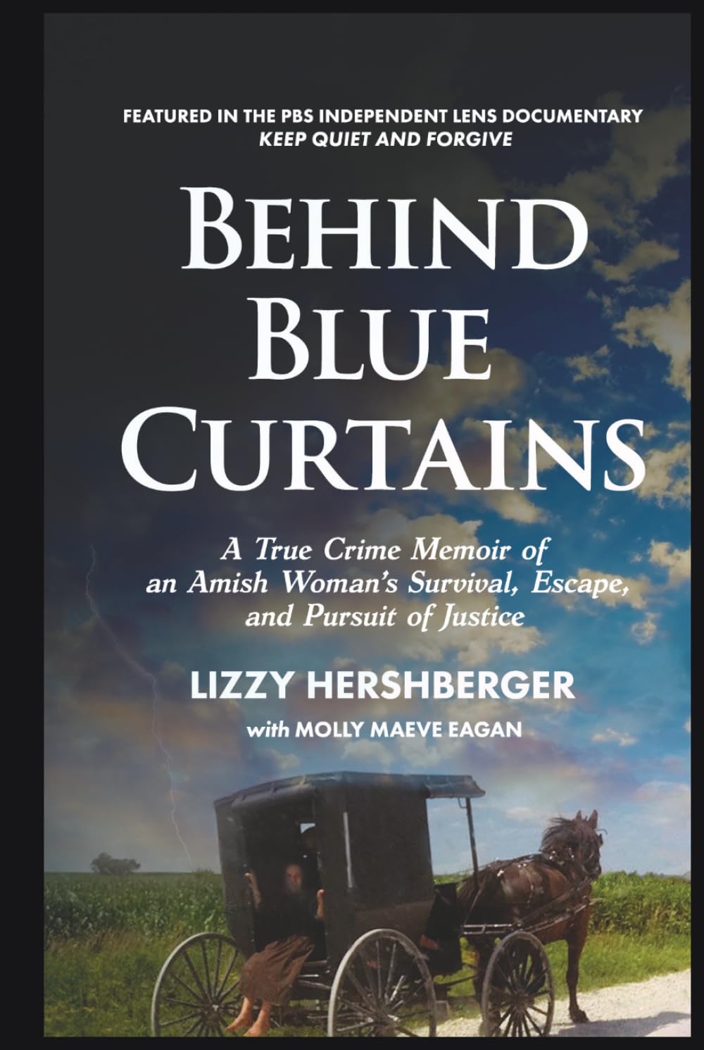 Behind Blue Curtains: A True Crime Memoir of an Amish Woman's Survival, and Pursuit of Justice (Amish True Crime)