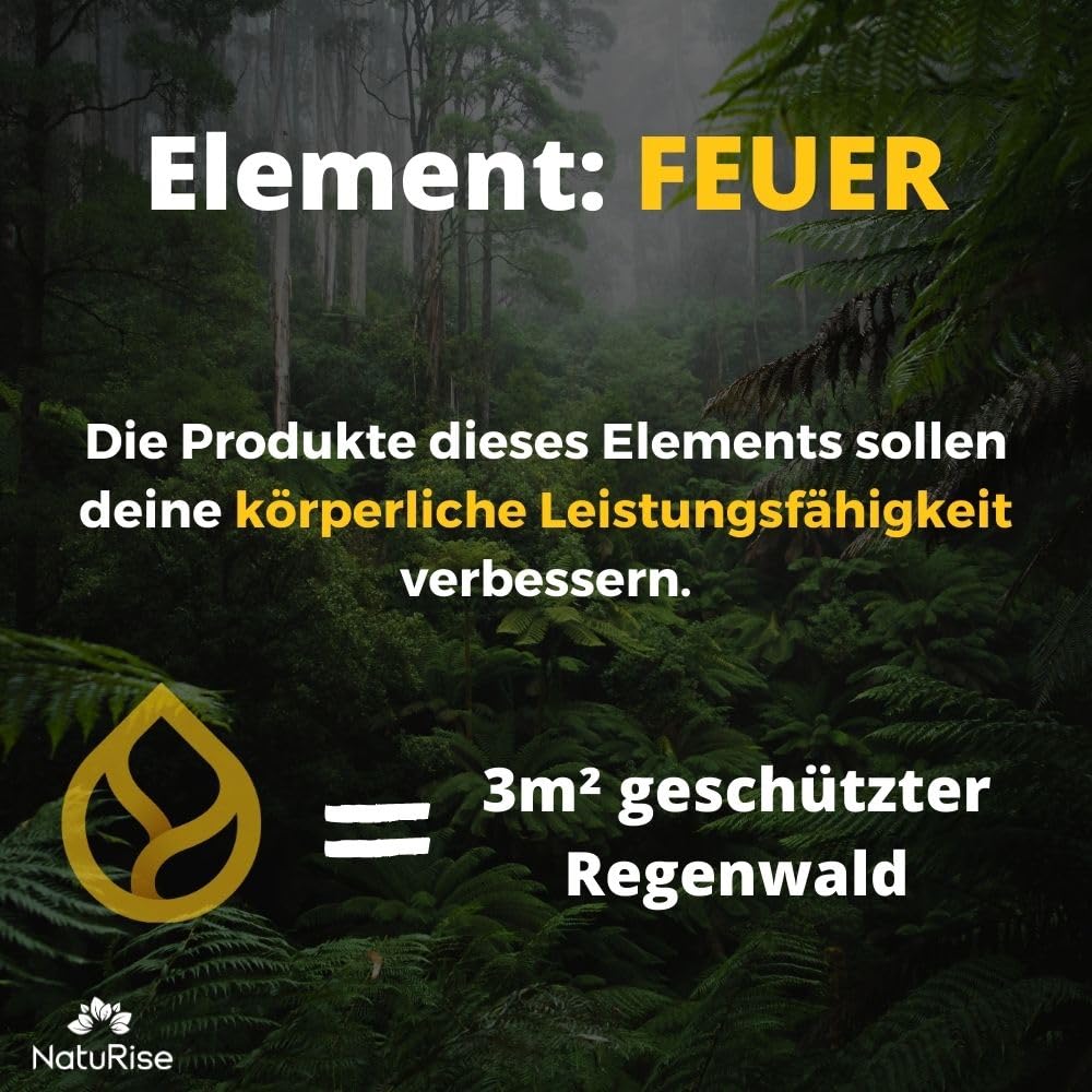 NatuRise® Kurkuma Tropfen Hochdosiert - Liposomales Curcumin mit Sanddornextrakt - Kurkumin Extrakt 100% Vegan - UV-Glas & Pipette mit Dosierskala - Laborgeprüft (100ml)